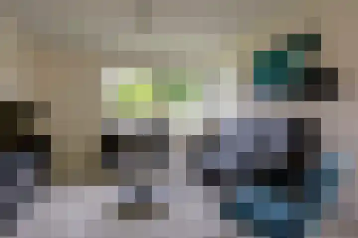 Roggelelie 1 Gieten thumbnail 19