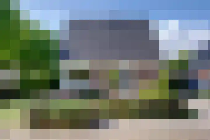 Roggelelie 1 Gieten foto 2