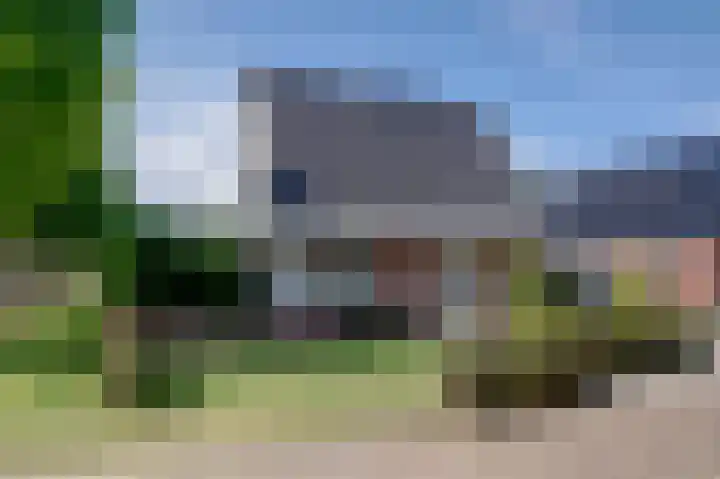 Roggelelie 1 Gieten foto 3