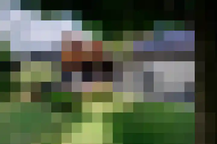 Roggelelie 1 Gieten thumbnail 39