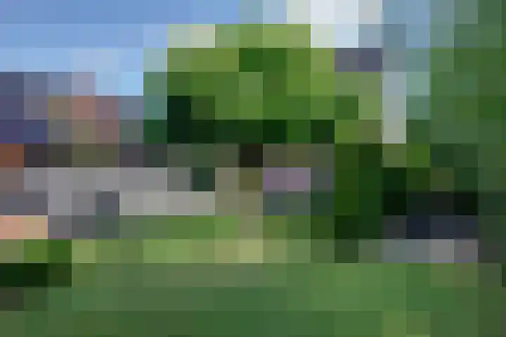 Roggelelie 1 Gieten thumbnail 40