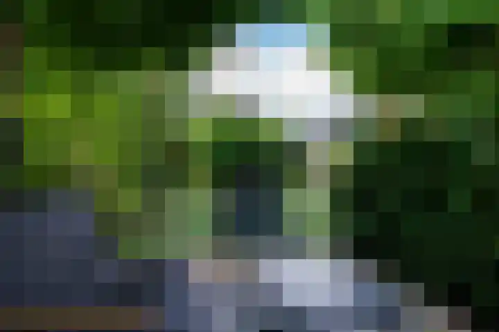 Roggelelie 1 Gieten thumbnail 41