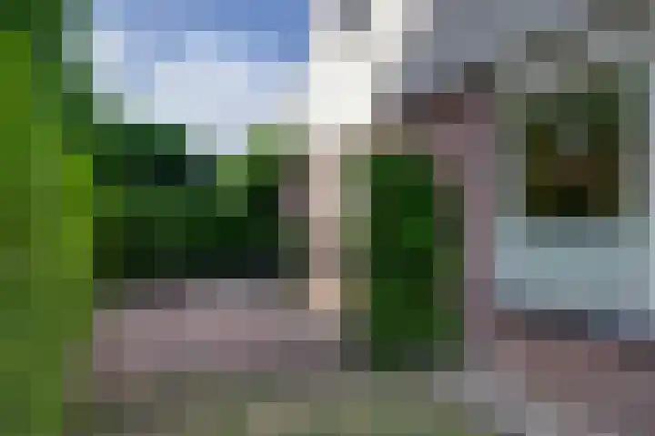 Roggelelie 1 Gieten thumbnail 8