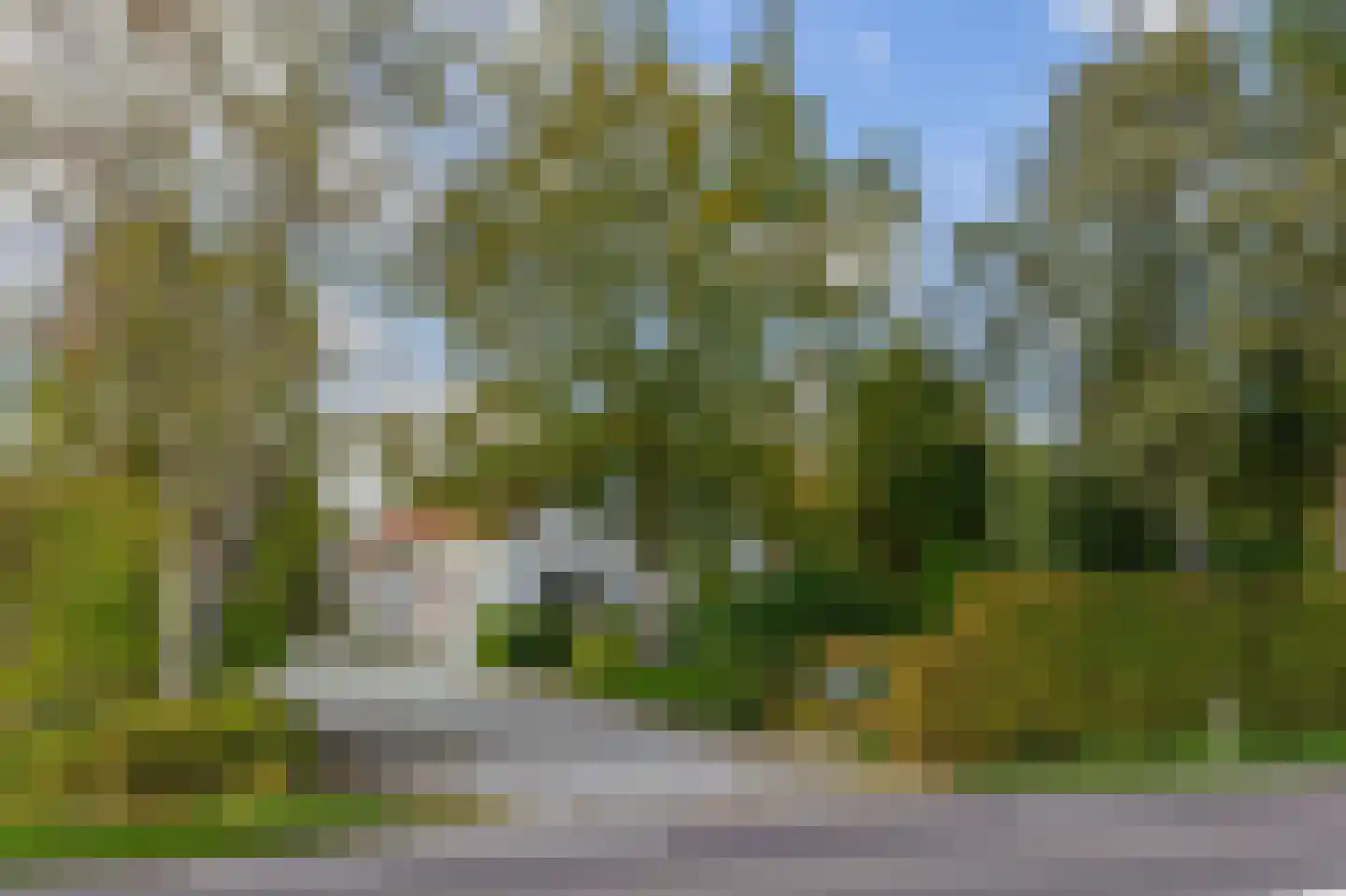 Roggelsedijk 12 Meijel thumbnail 67