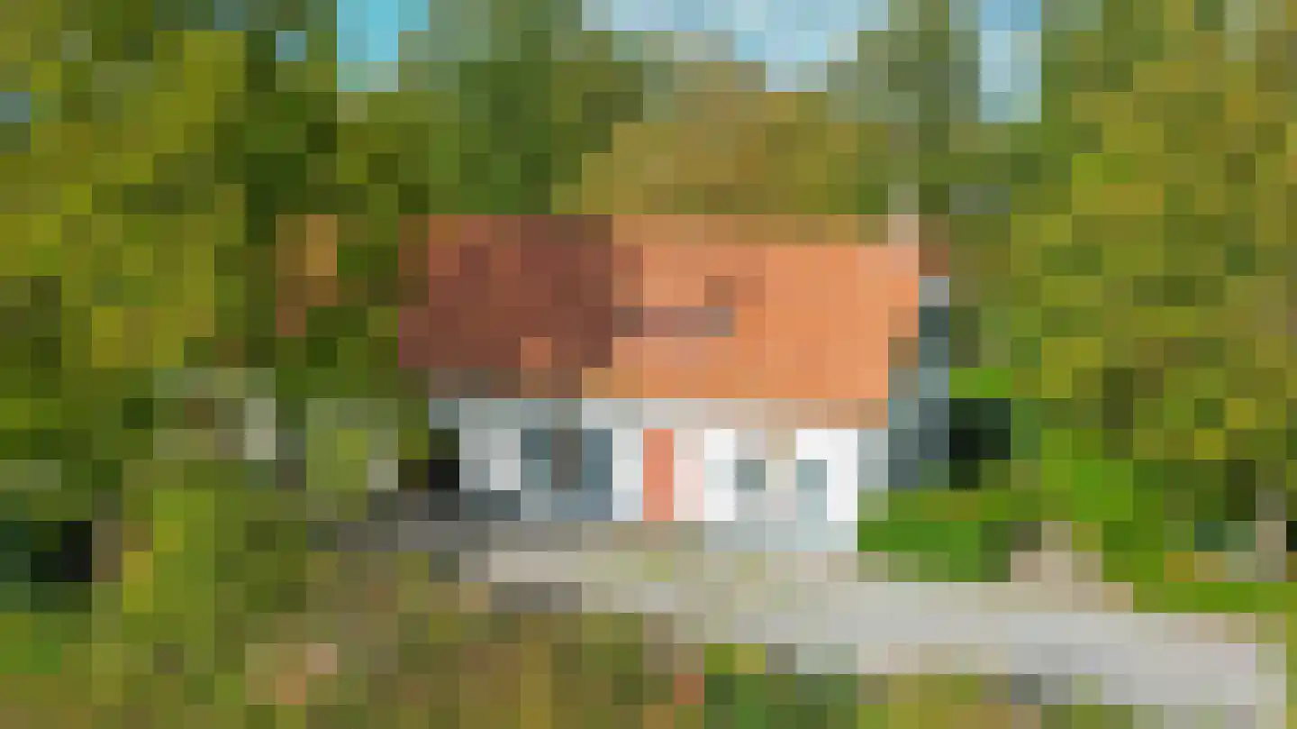 Roggelsedijk 12 Meijel thumbnail 68