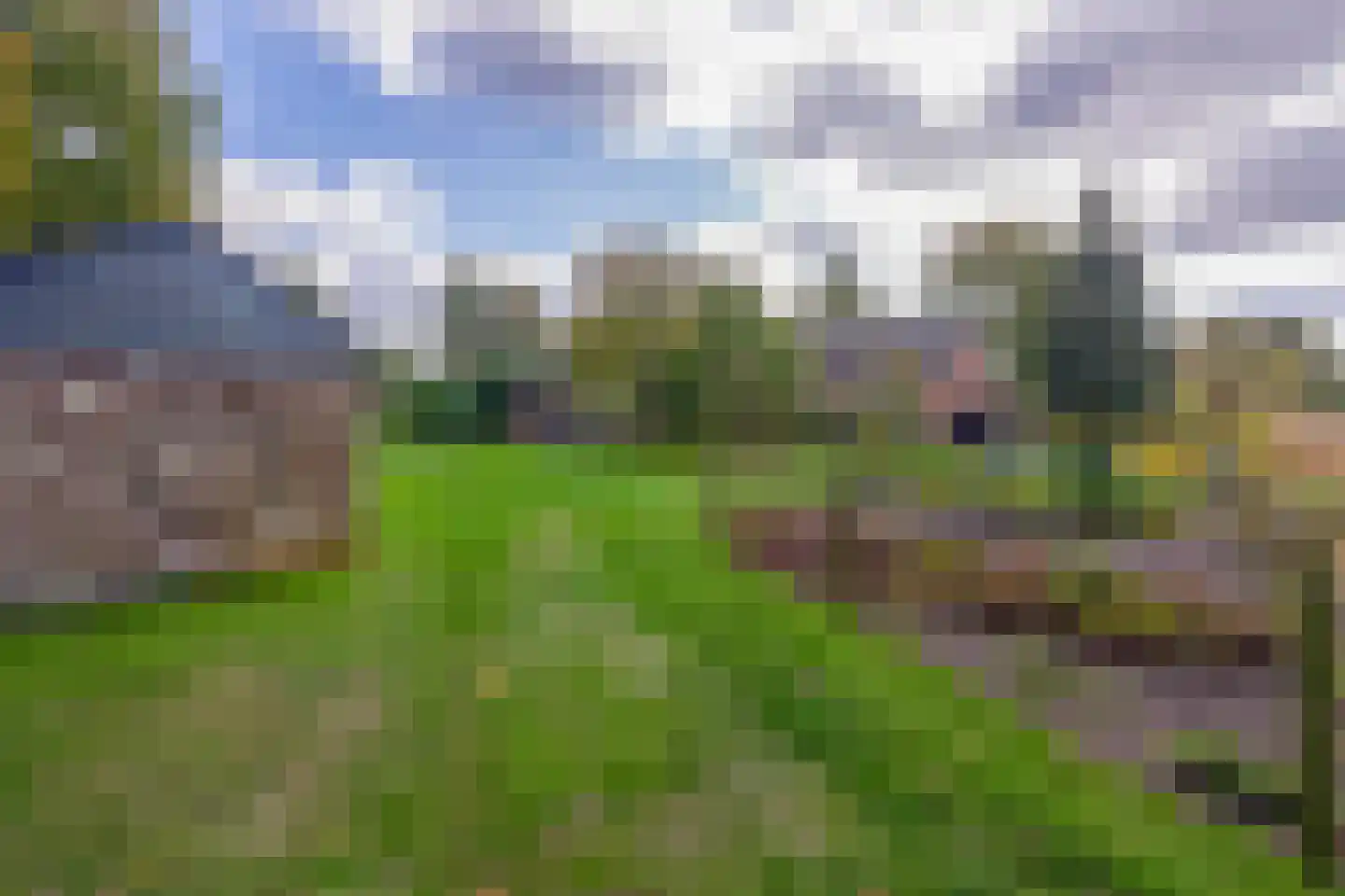 Roggelsedijk 12 Meijel thumbnail 72