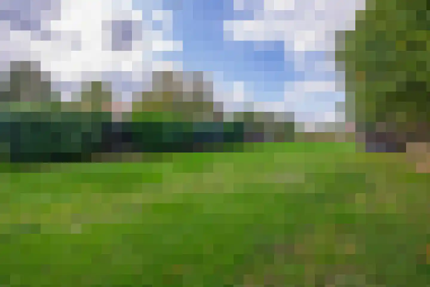 Roggelsedijk 12 Meijel thumbnail 75