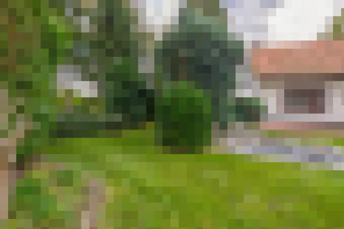 Roggelsedijk 12 Meijel thumbnail 78