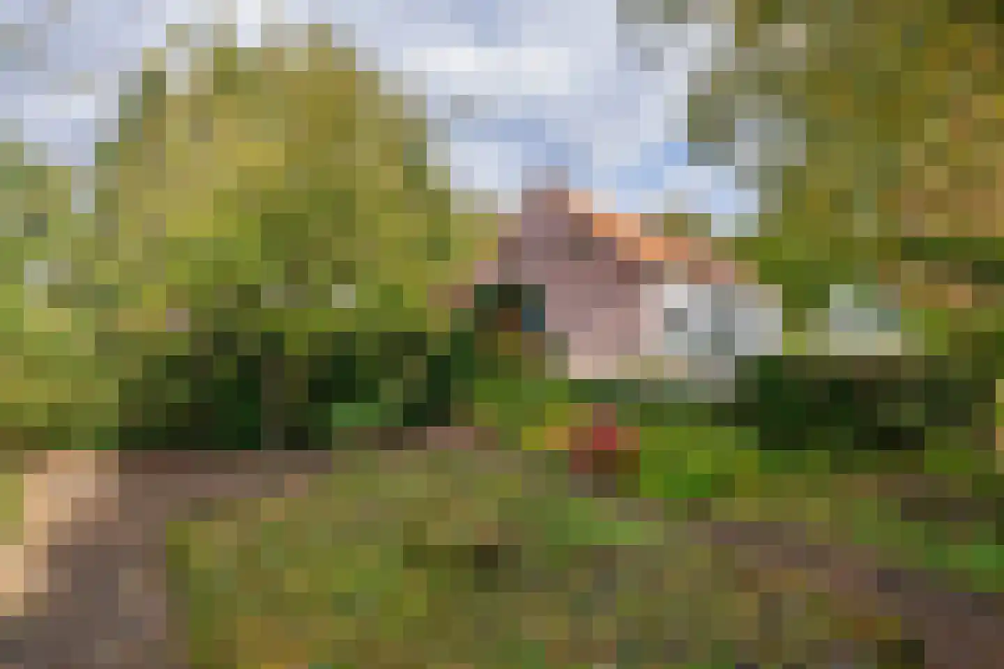 Roggelsedijk 12 Meijel thumbnail 86