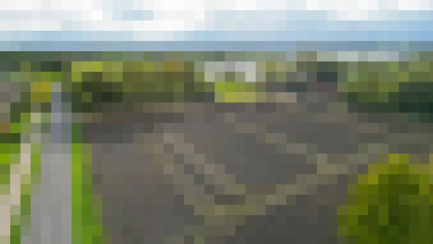 Roggelsedijk 12 Meijel thumbnail 93