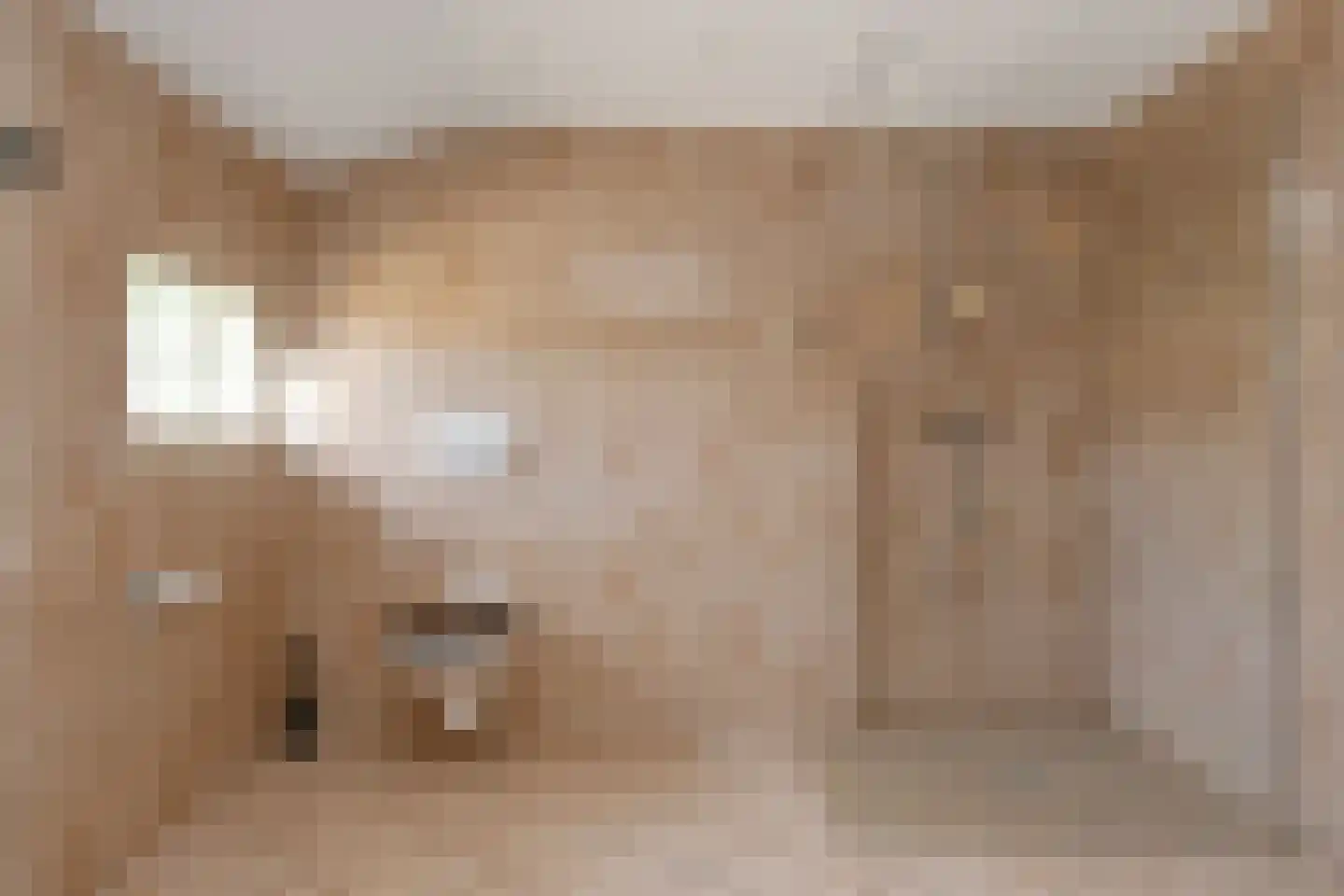 Roggelsedijk 8 Meijel thumbnail 31