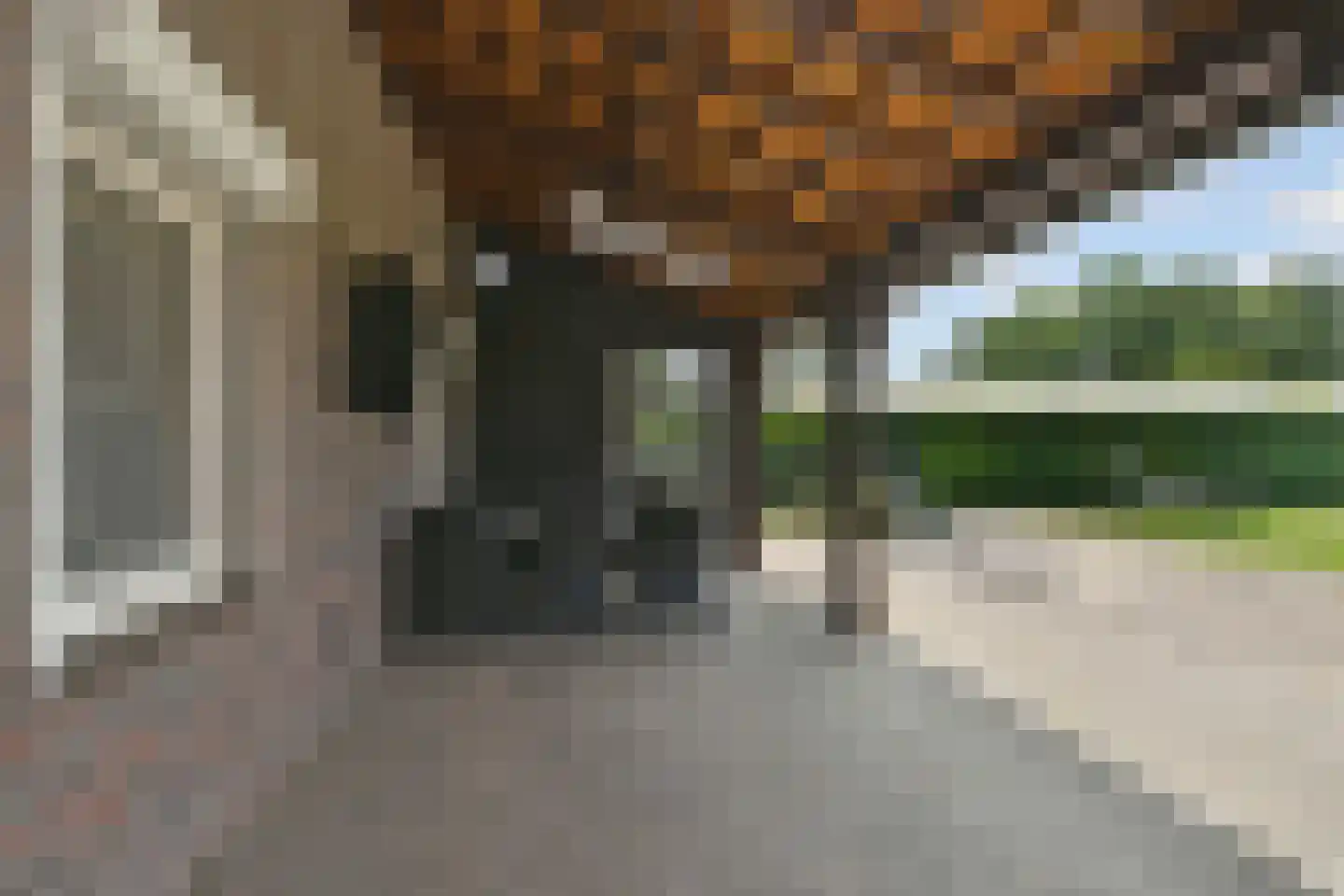 Roggelsedijk 8 Meijel thumbnail 38