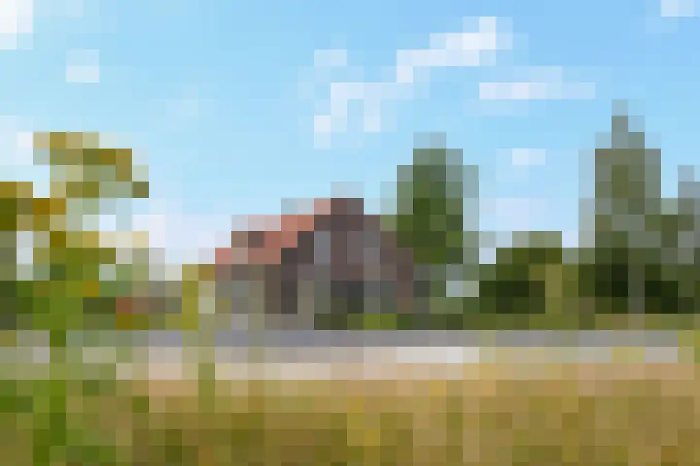 Roggelsedijk 8 Meijel thumbnail 4
