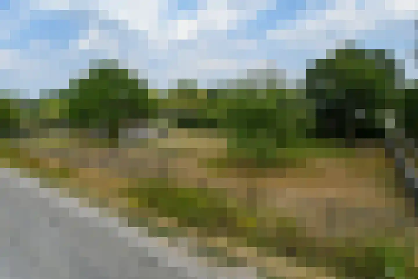 Roggelsedijk 8 Meijel thumbnail 50