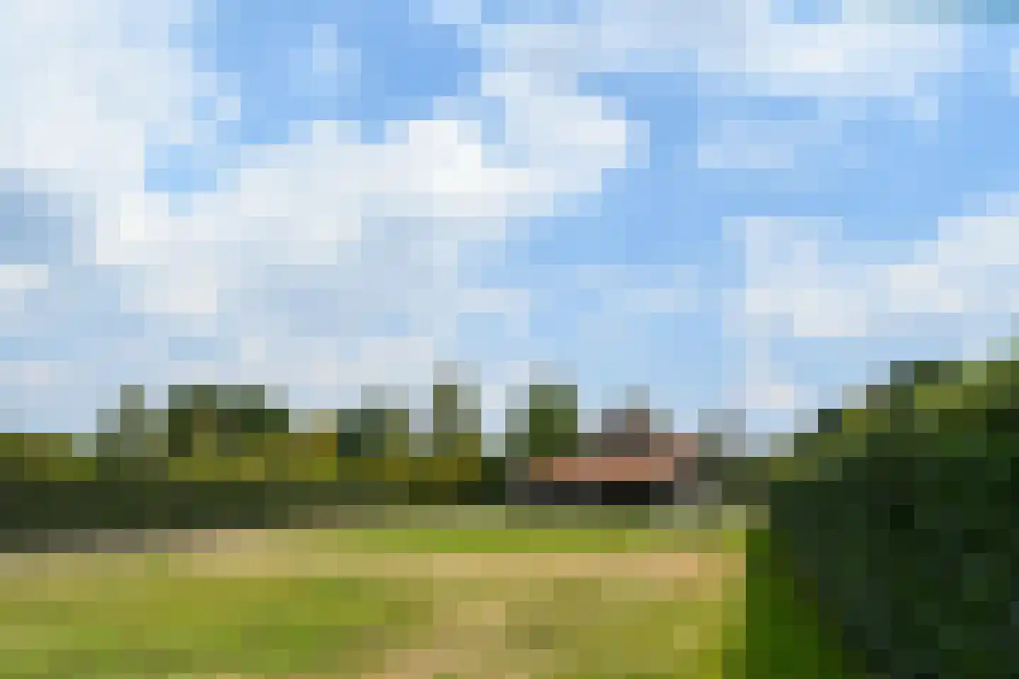 Roggelsedijk 8 Meijel thumbnail 53