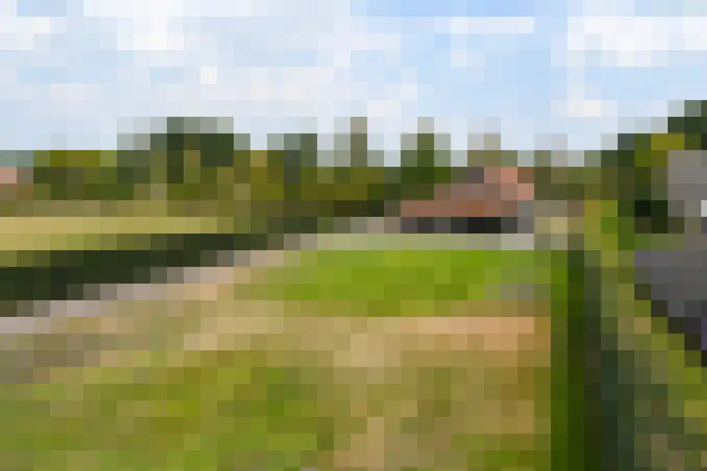 Roggelsedijk 8 Meijel thumbnail 54