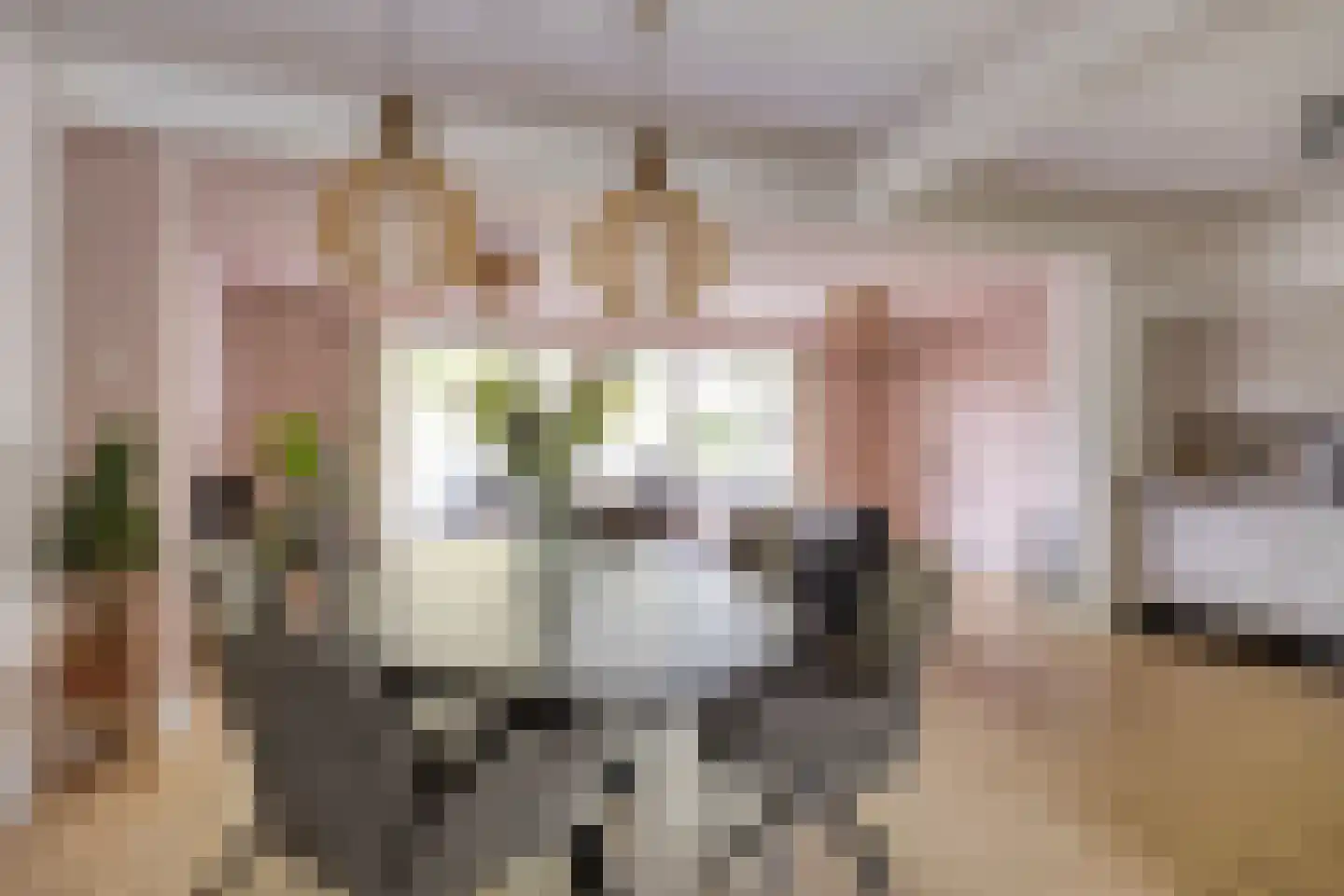 Roggelseweg 10 Helden thumbnail 13