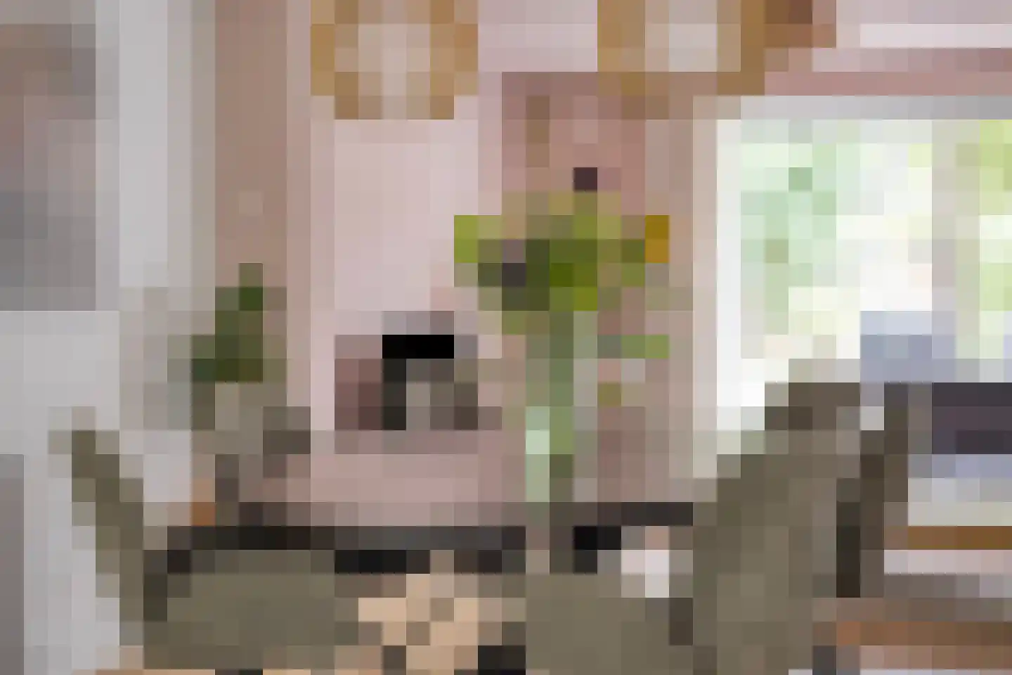Roggelseweg 10 Helden thumbnail 15