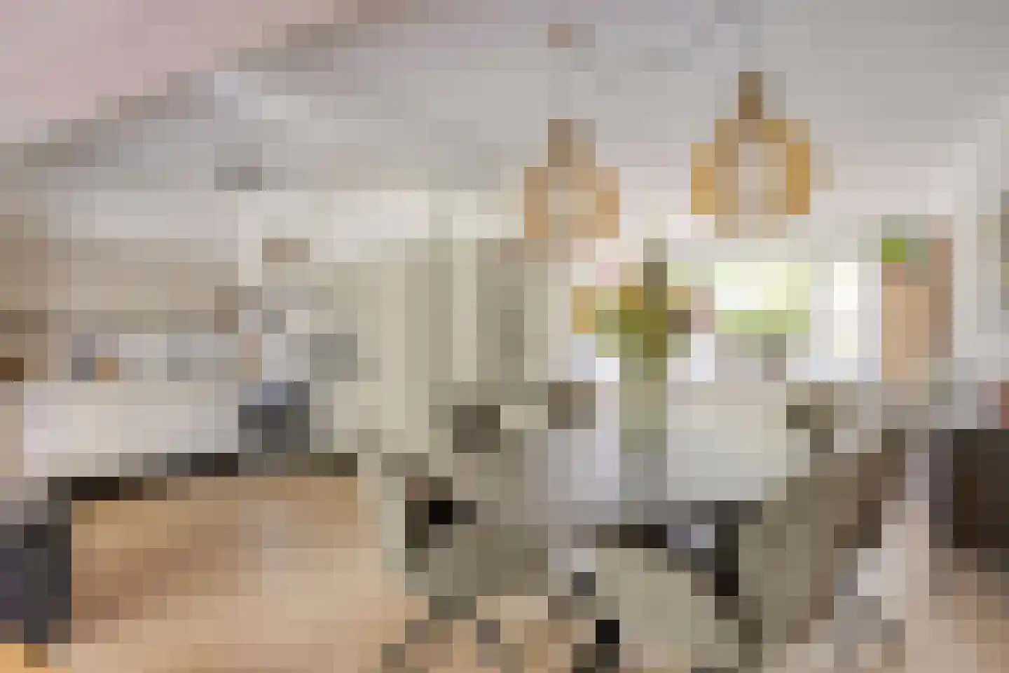 Roggelseweg 10 Helden thumbnail 16