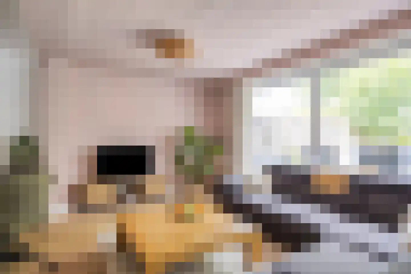 Roggelseweg 10 Helden thumbnail 22