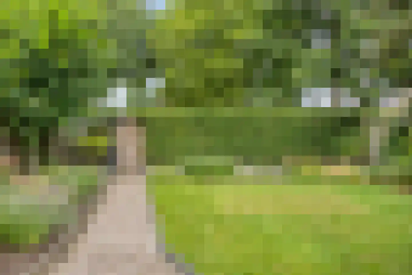 Roggelseweg 10 Helden thumbnail 50