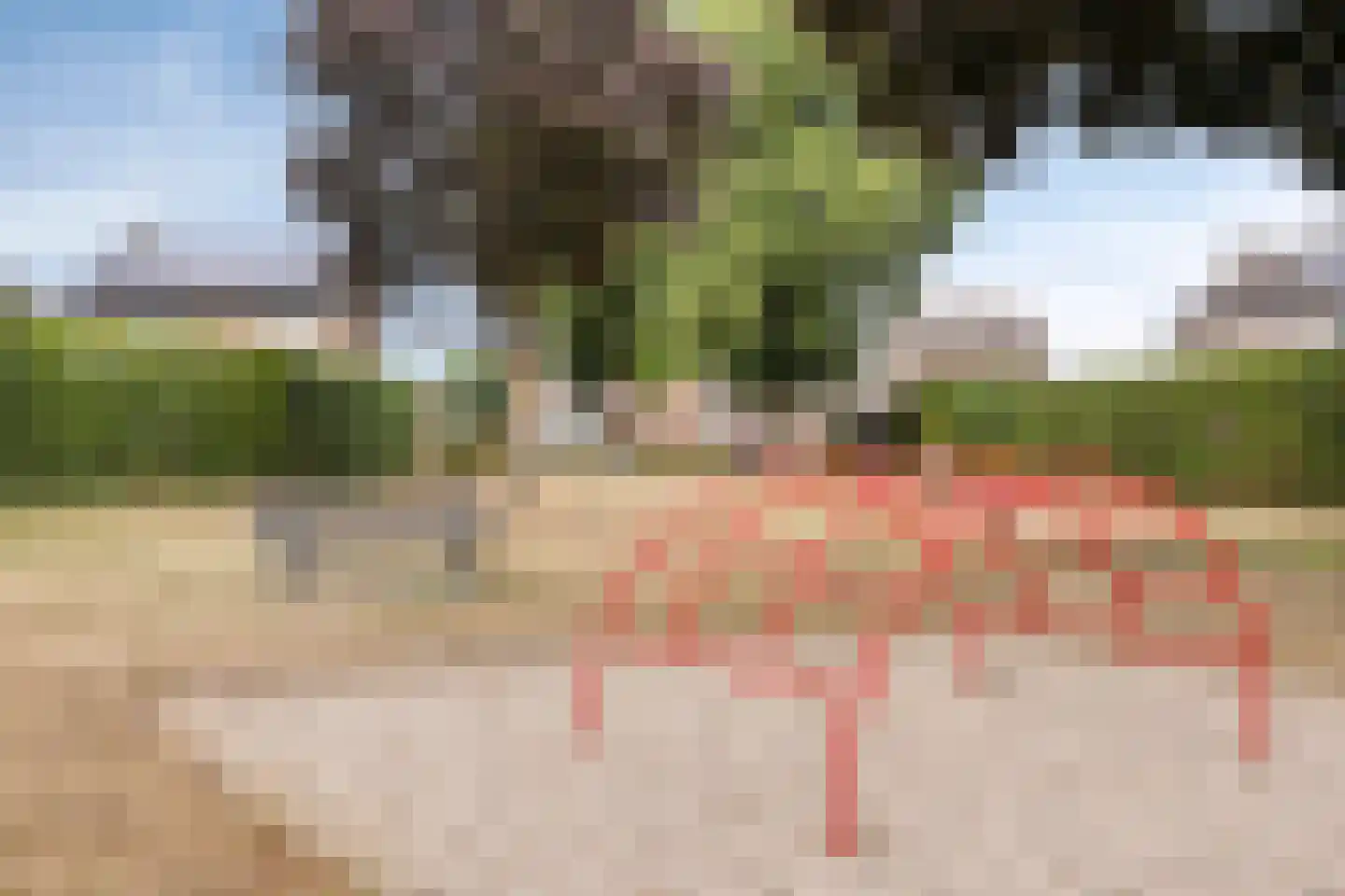 Roggelseweg 10 Helden thumbnail 53
