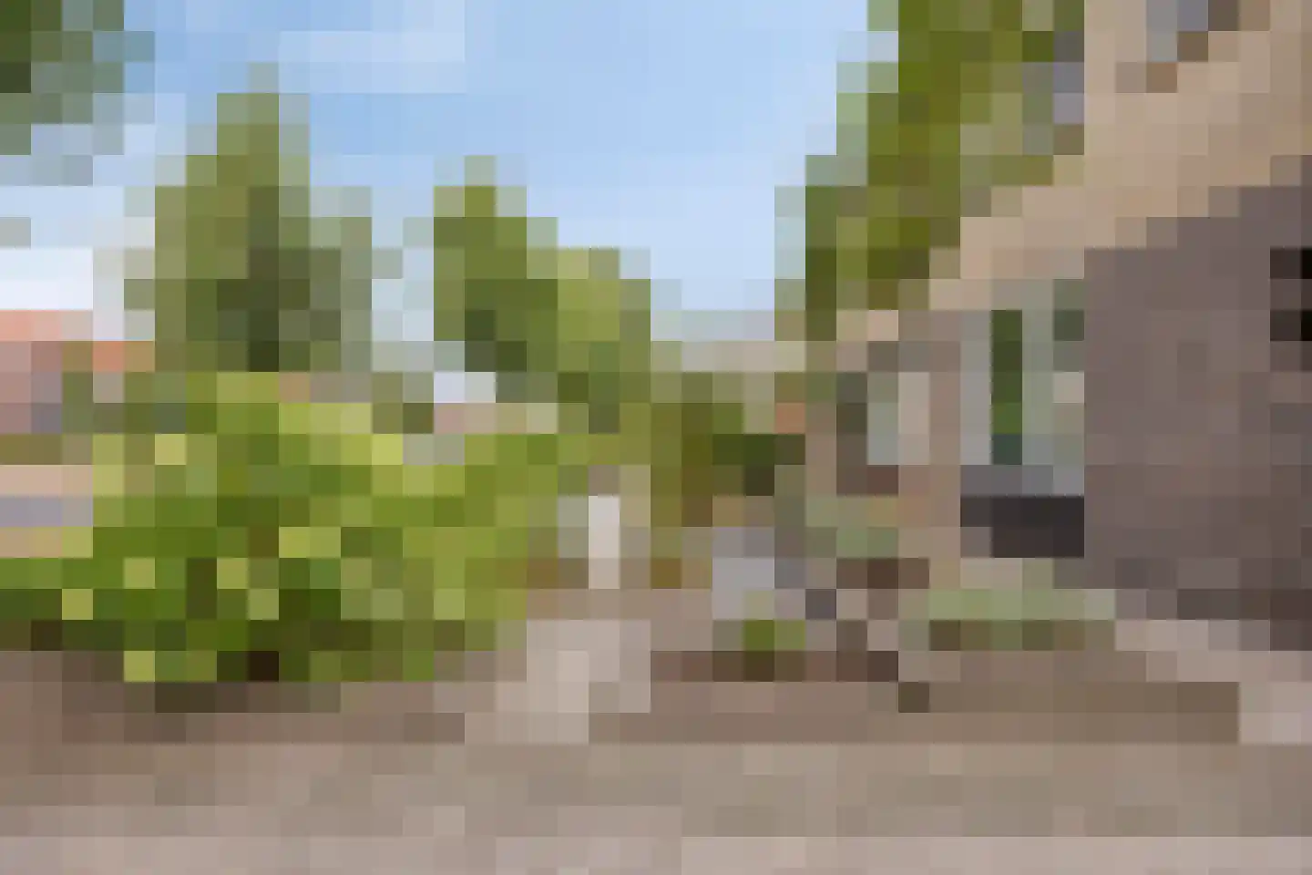 Roggelseweg 10 Helden thumbnail 58