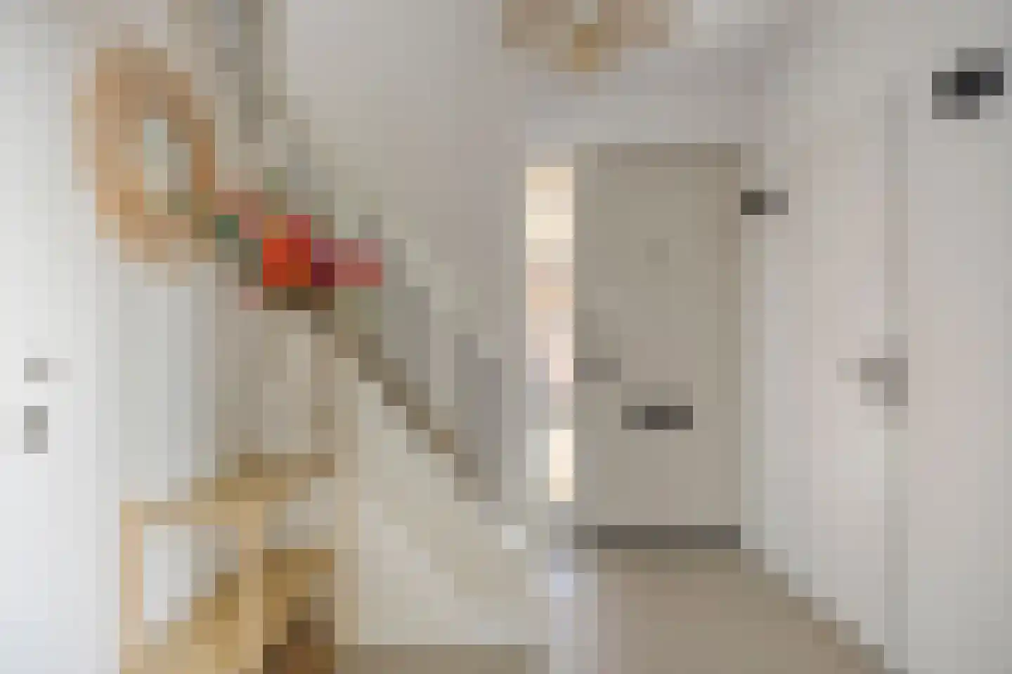 Roggelseweg 10 Helden thumbnail 8