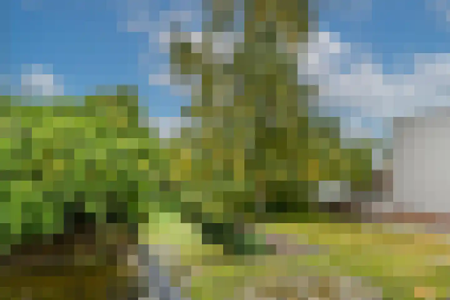 Roggelseweg 11 Haelen thumbnail 19