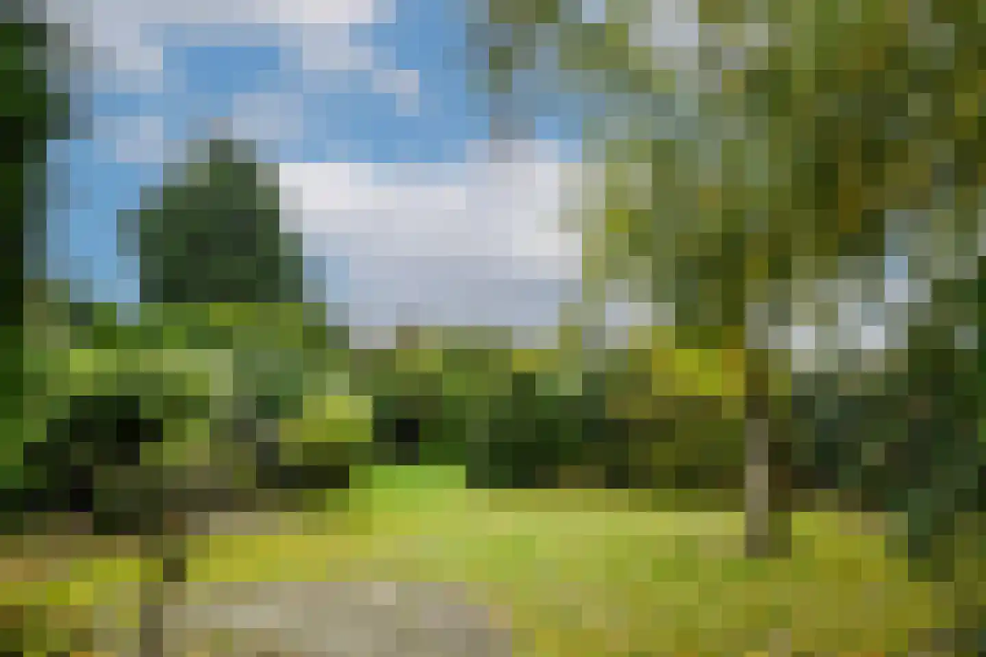 Roggelseweg 11 Haelen thumbnail 21