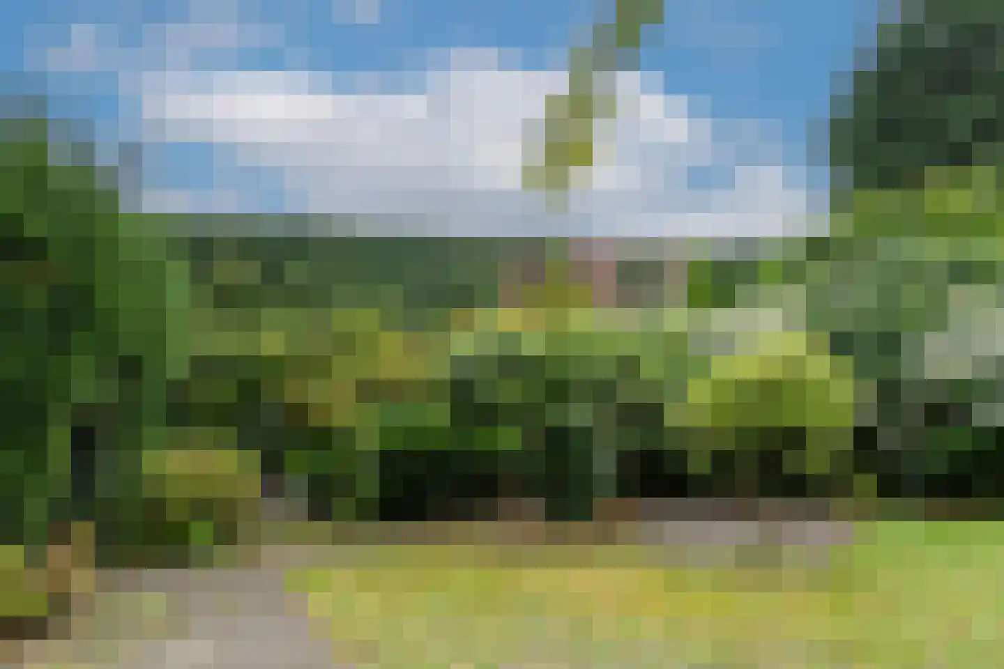 Roggelseweg 11 Haelen thumbnail 22