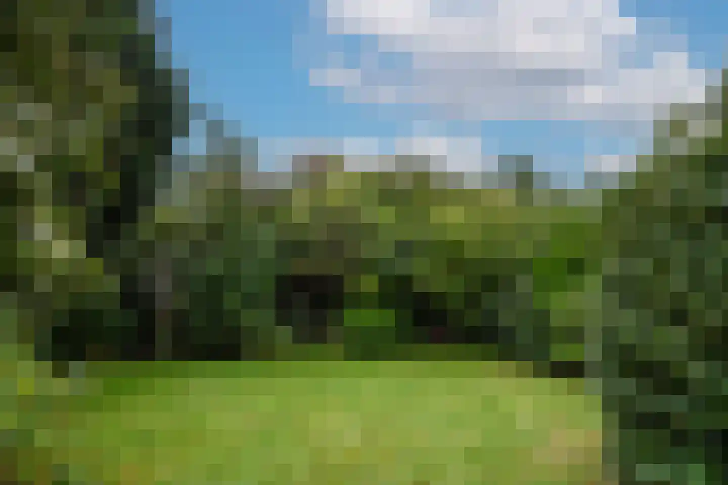 Roggelseweg 11 Haelen thumbnail 23