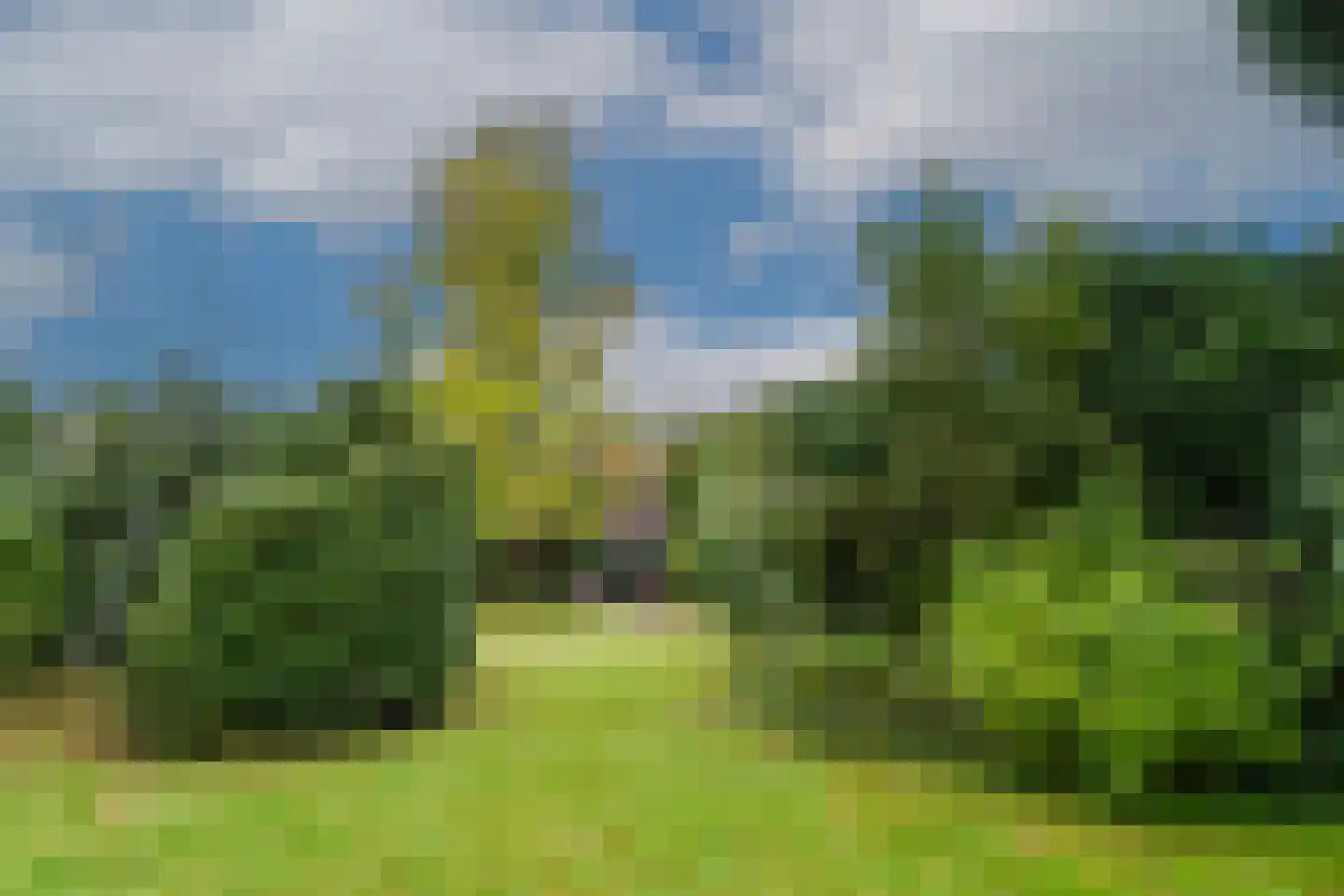 Roggelseweg 11 Haelen thumbnail 24