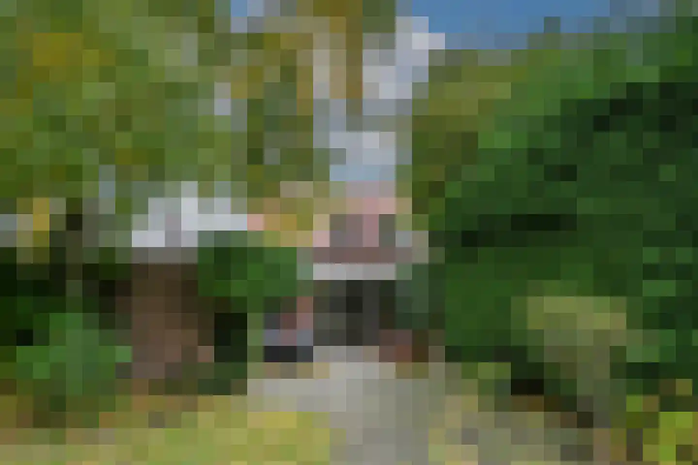 Roggelseweg 11 Haelen thumbnail 25