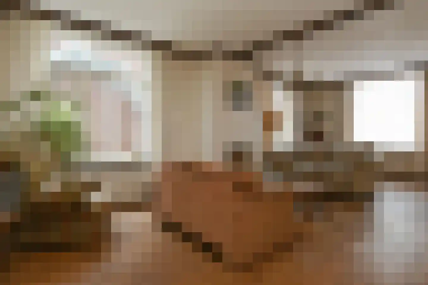 Roggelseweg 11 Haelen thumbnail 5
