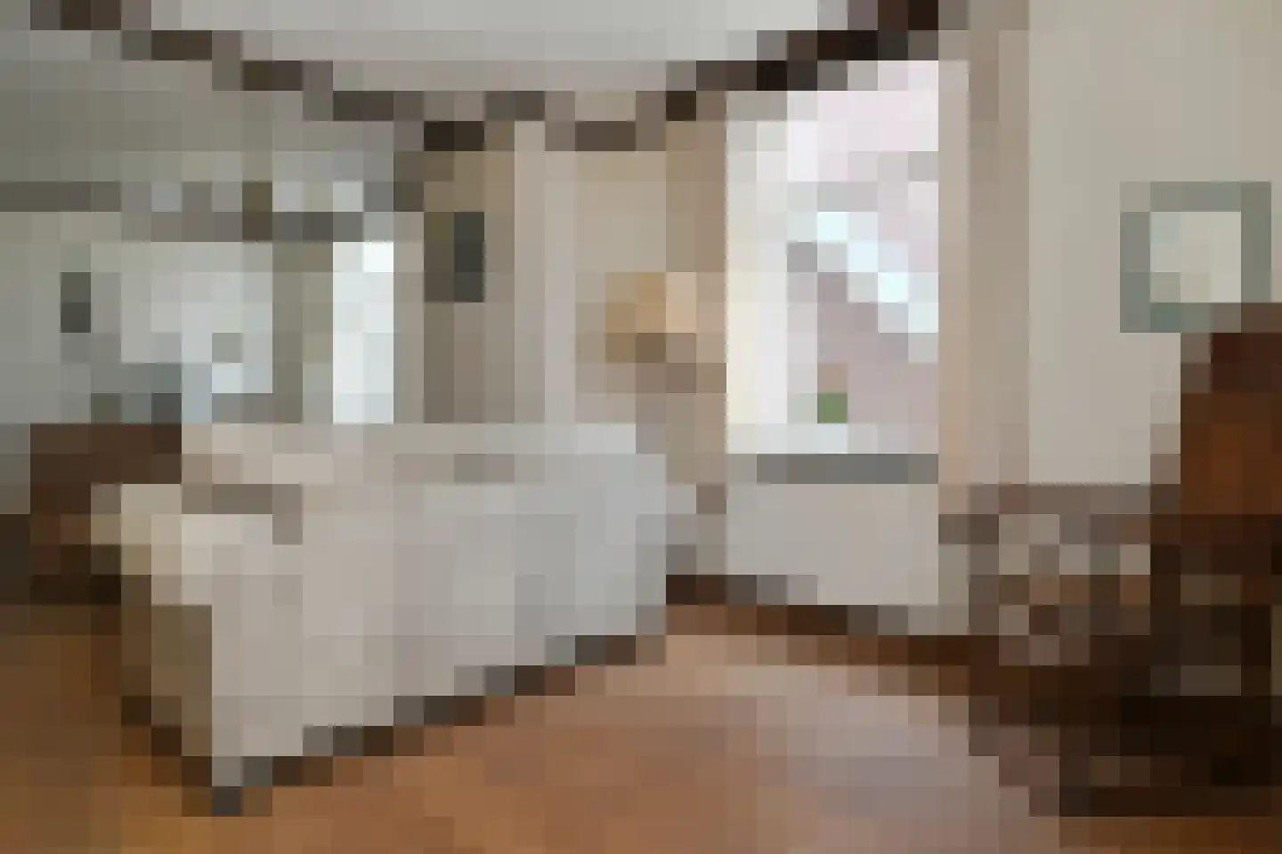 Roggelseweg 11 Haelen thumbnail 6