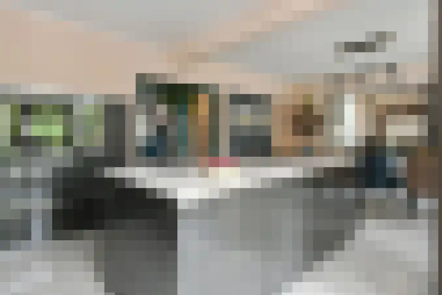 Roggelseweg 34 Haelen thumbnail 19