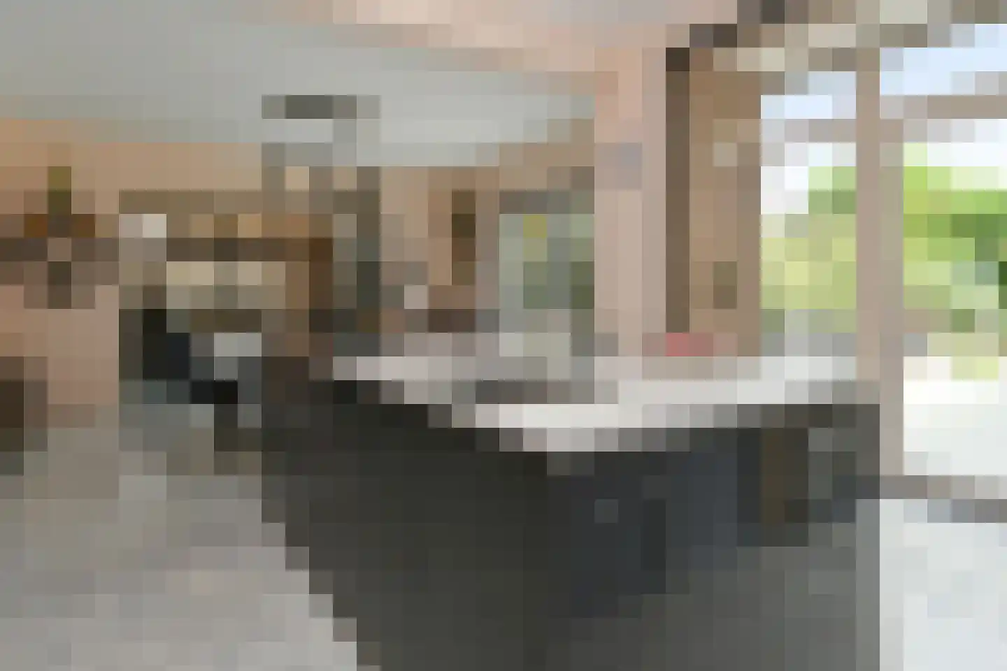 Roggelseweg 34 Haelen thumbnail 20