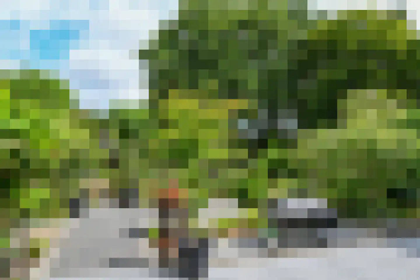 Roggelseweg 34 Haelen thumbnail 49