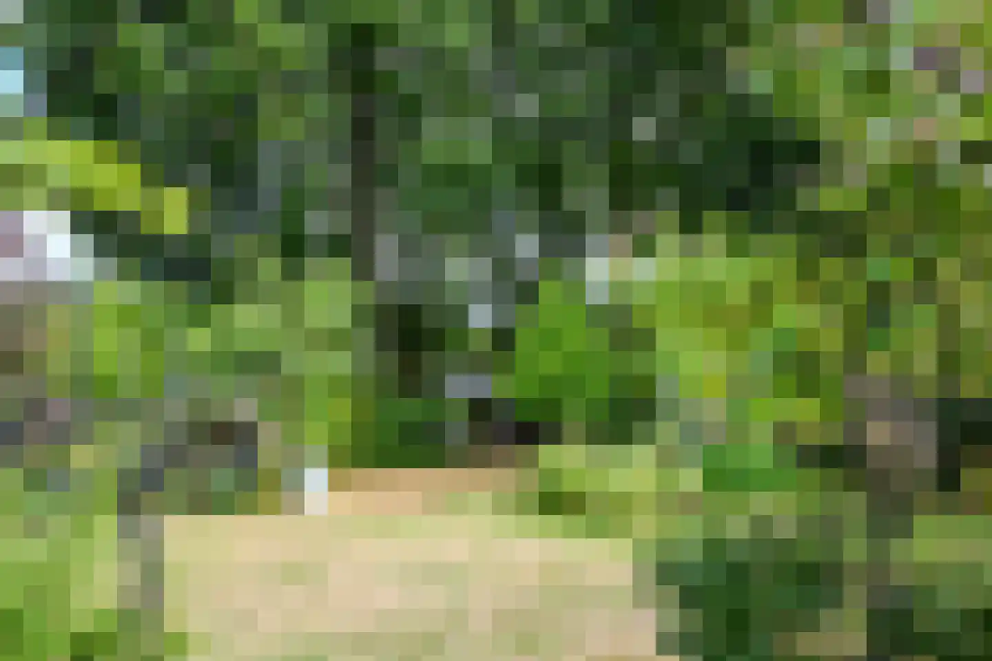 Roggelseweg 34 Haelen thumbnail 51