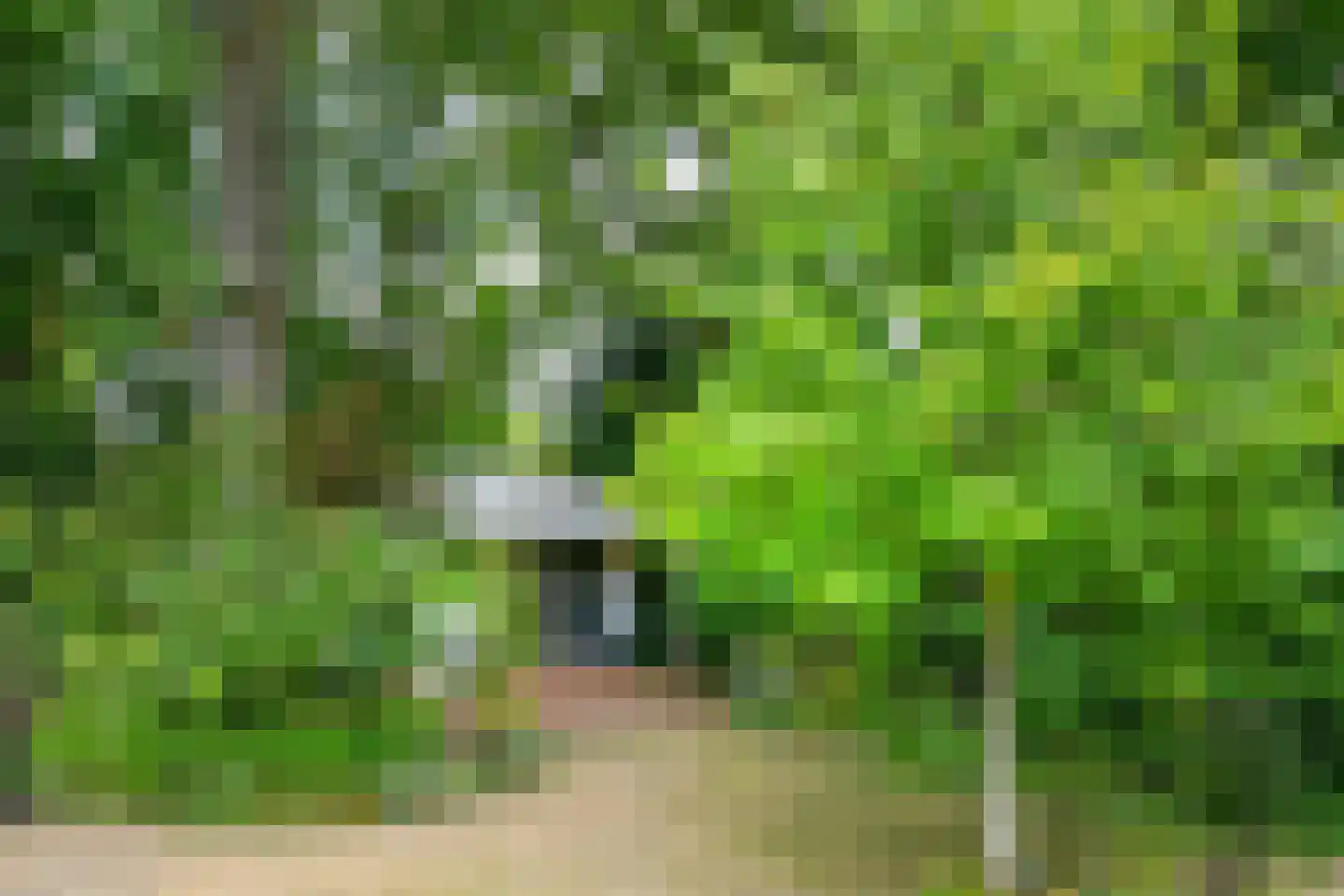 Roggelseweg 34 Haelen thumbnail 52