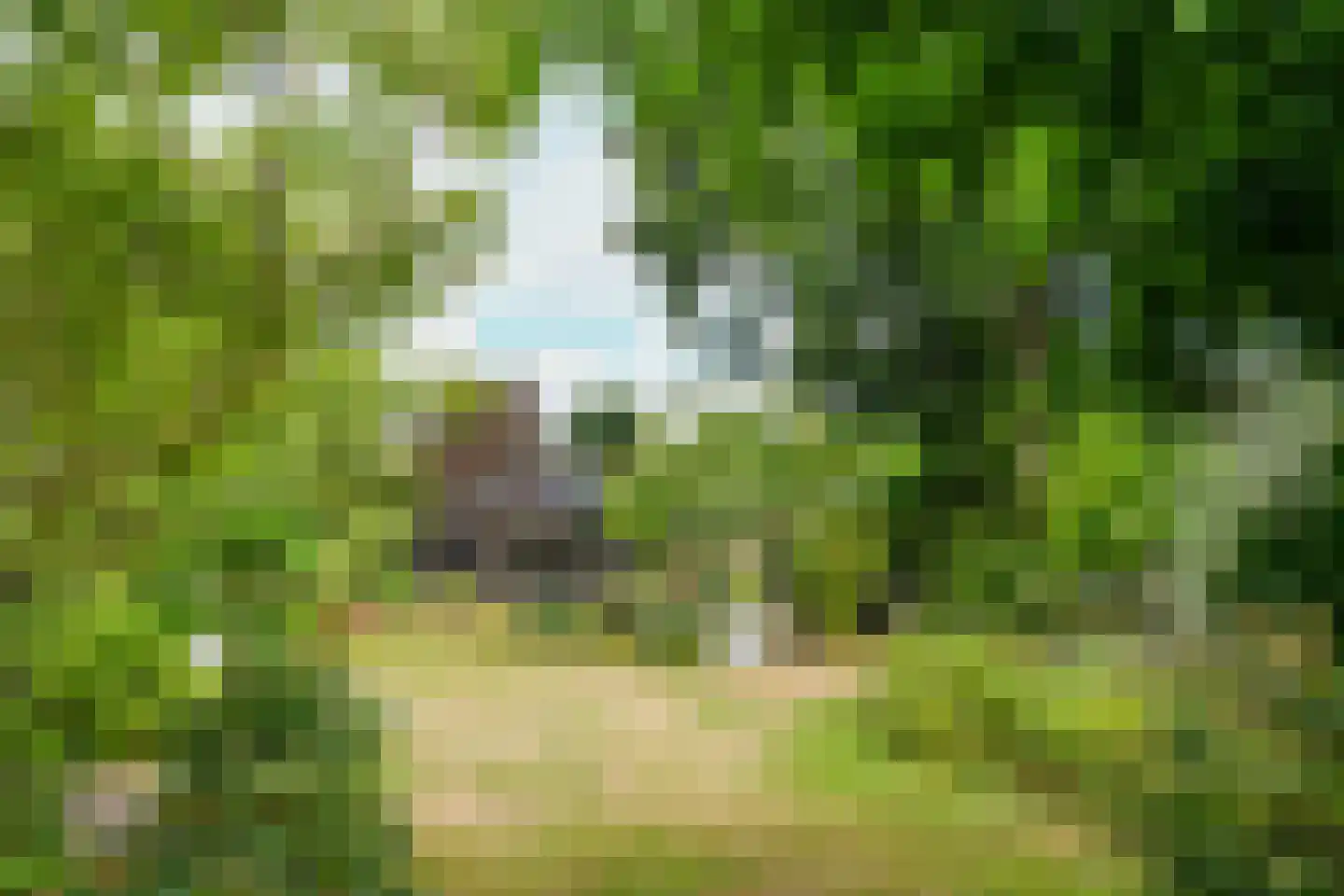 Roggelseweg 34 Haelen thumbnail 53