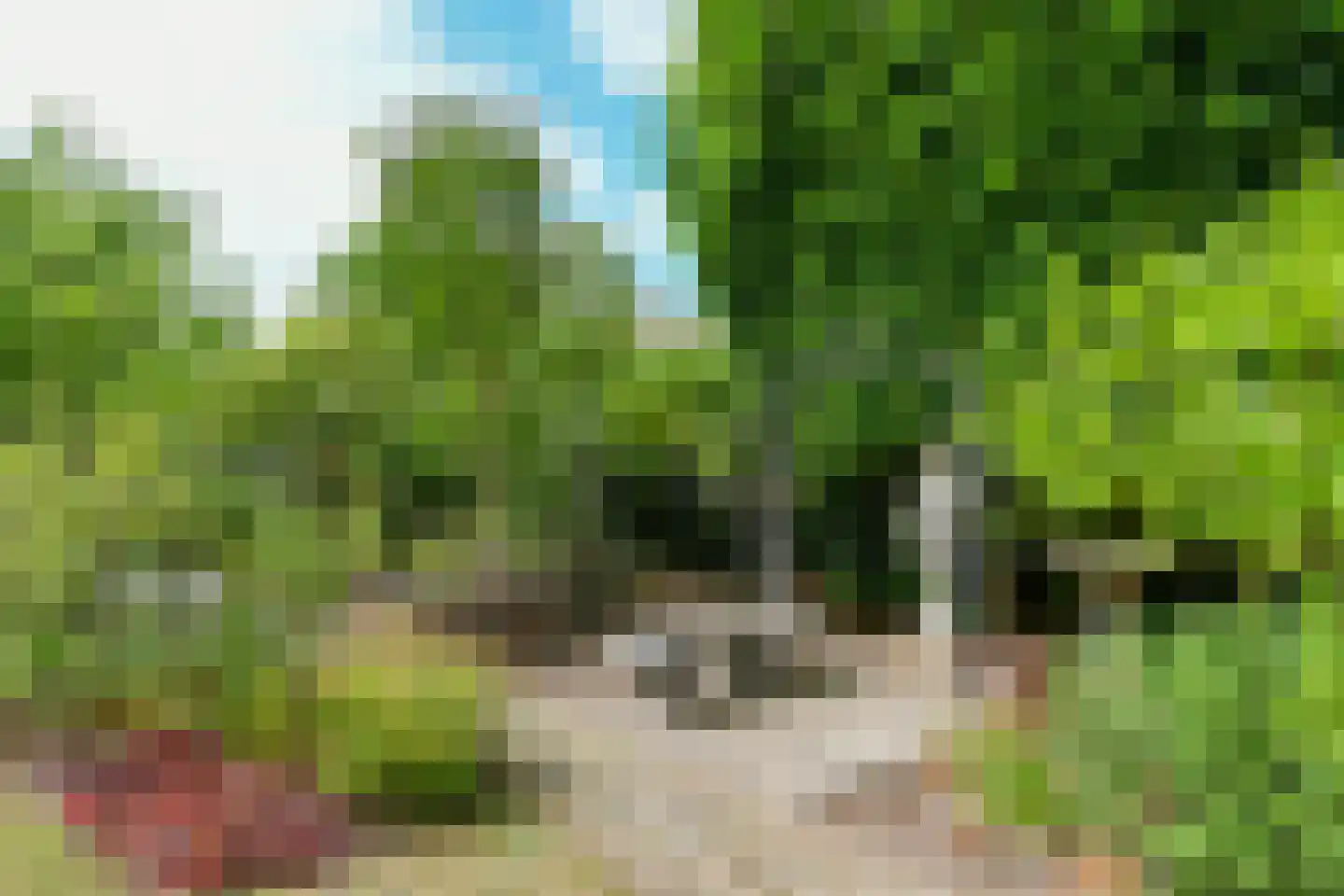 Roggelseweg 34 Haelen thumbnail 54