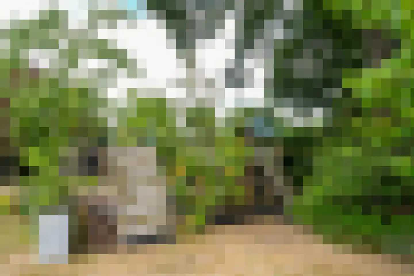 Roggelseweg 34 Haelen thumbnail 55
