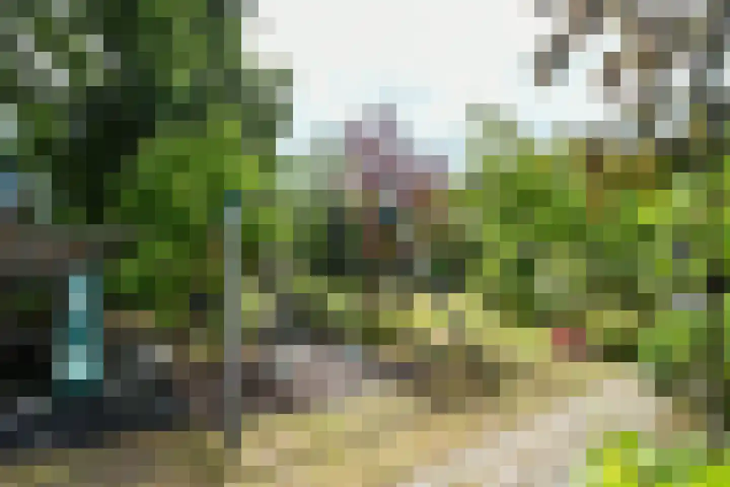 Roggelseweg 34 Haelen thumbnail 56