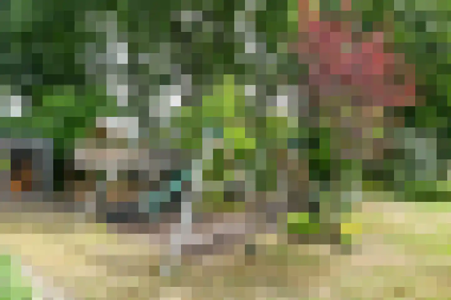 Roggelseweg 34 Haelen thumbnail 57