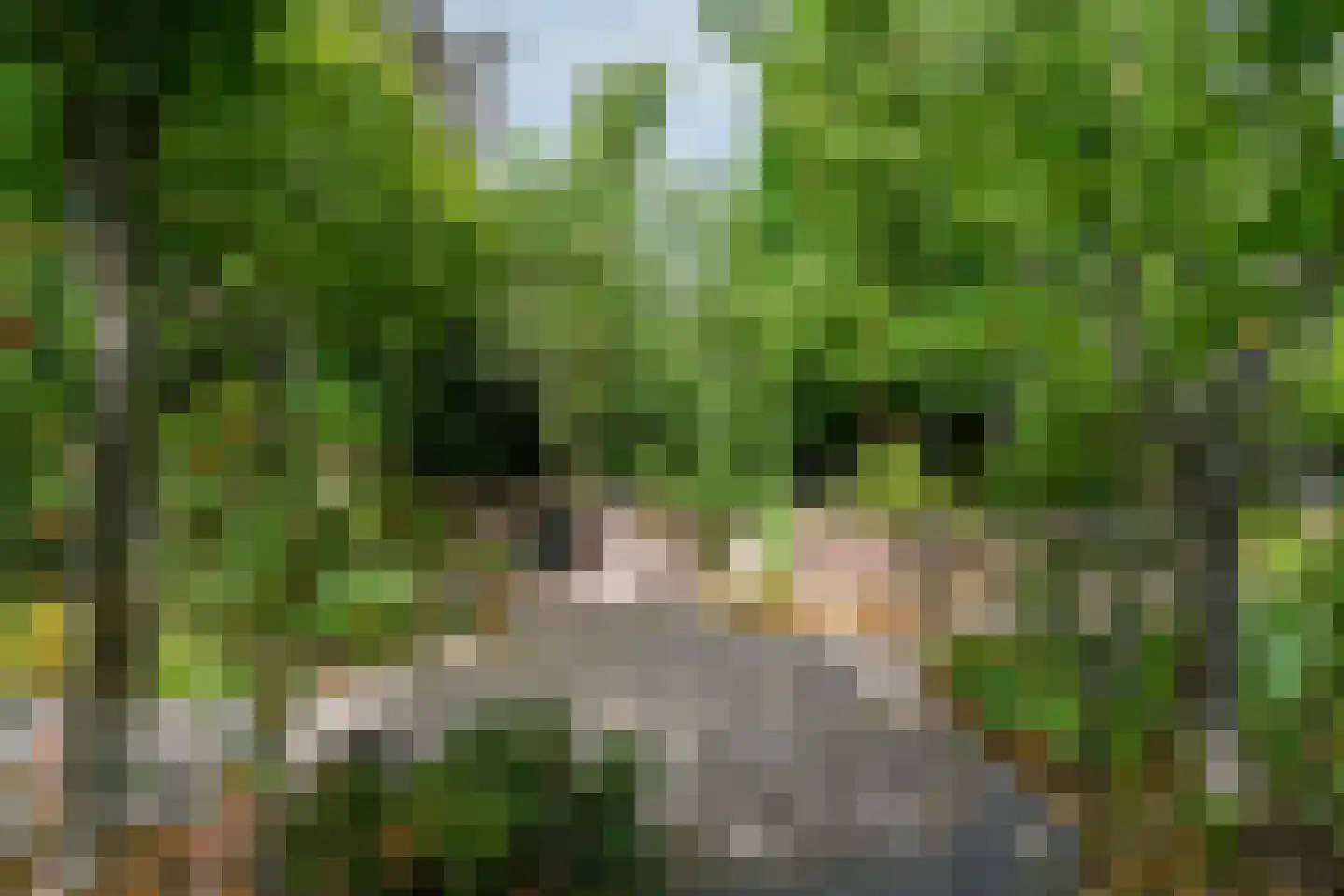 Roggelseweg 34 Haelen thumbnail 58