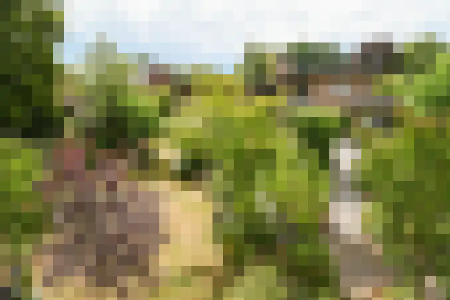 Roggelseweg 34 Haelen thumbnail 62