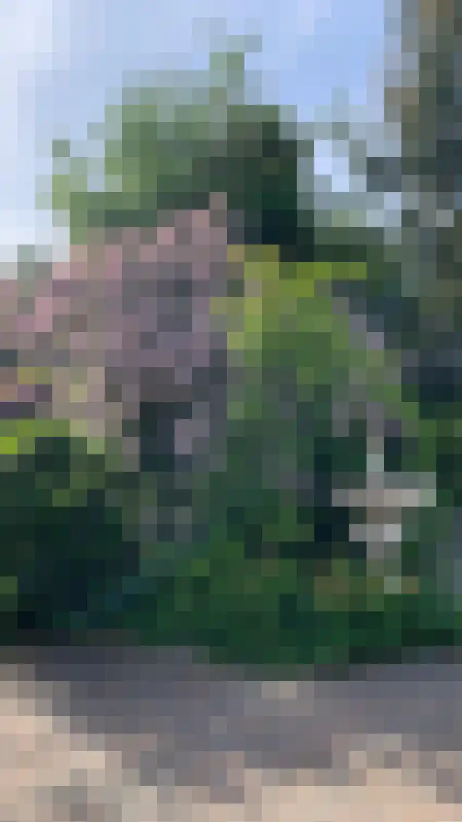 Roggelseweg 34 Haelen thumbnail 64