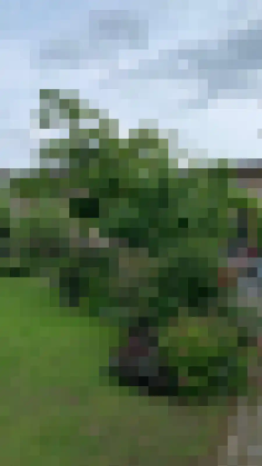 Roggelseweg 34 Haelen thumbnail 65